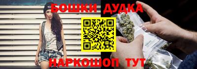сатива Бузулук
