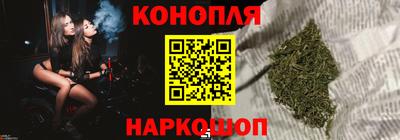 сатива Бузулук