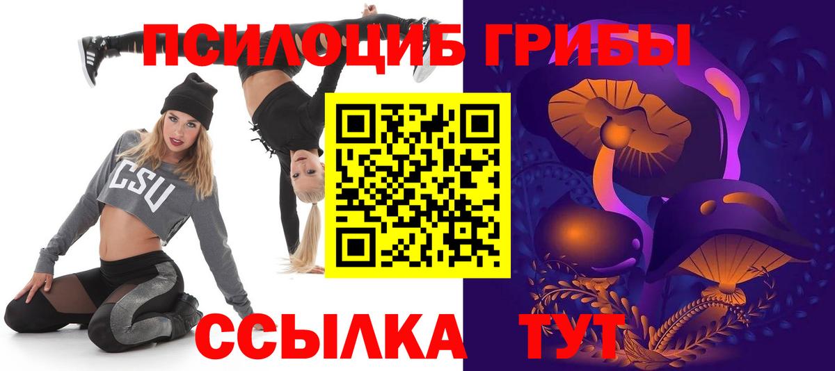 Псилоцибиновые грибы мицелий Карабулак